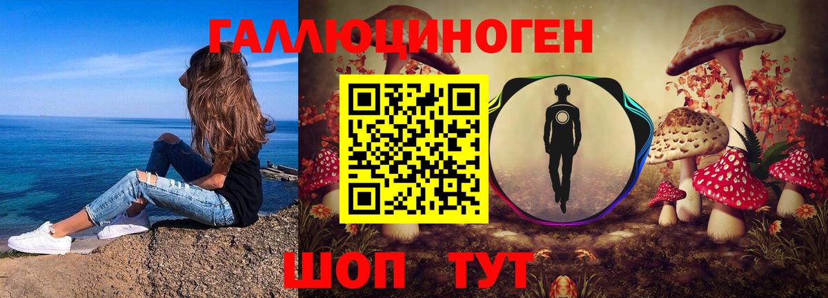 Галлюциногенные грибы Psilocybine cubensis Ивантеевка