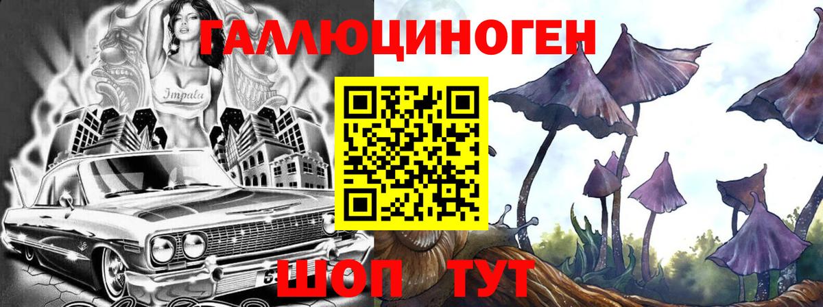 Псилоцибиновые грибы Cubensis  Вход с VPN  Ивантеевка  Псилоцибиновые грибы мицелий 