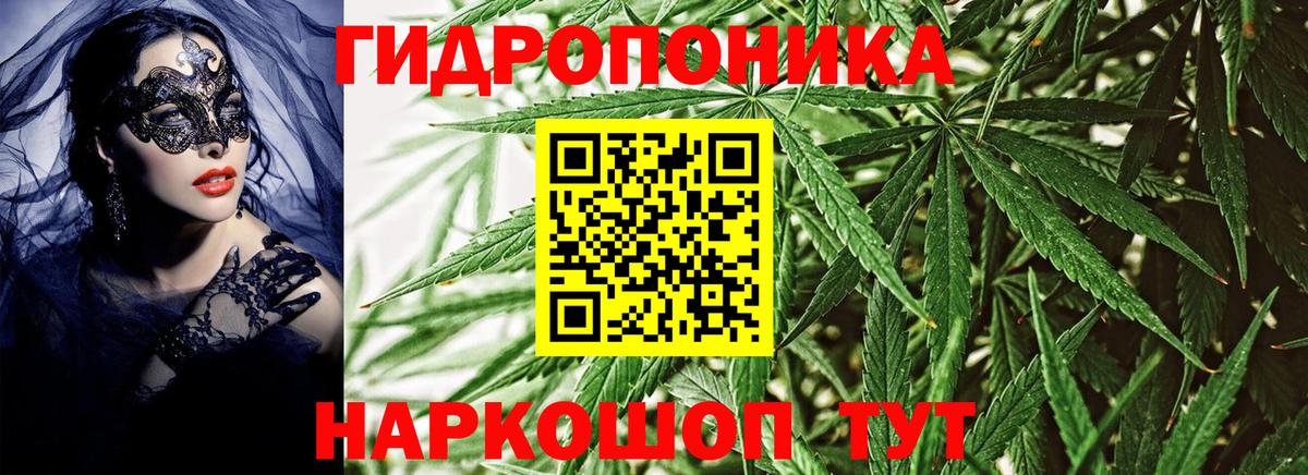 Бошки марихуана Amnesia  МАРИХУАНА гибрид  Ивантеевка  Бошки Шишки THC 21%  Бошки Шишки планчик  Вход с VPN 